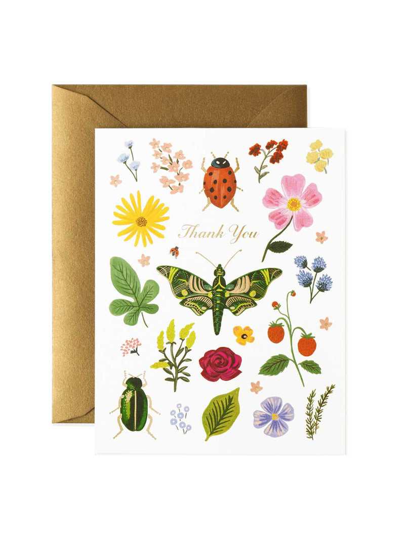 Rifle Paper Co curio thank you card set