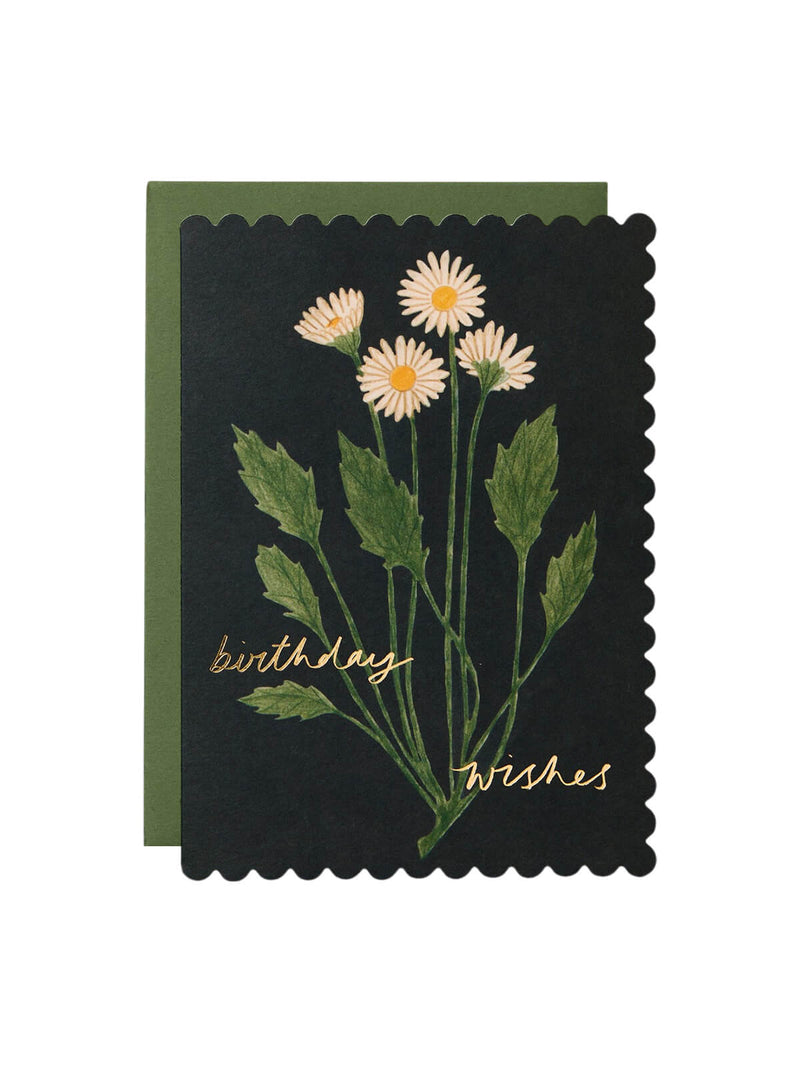 Wanderlust Paper Co daisy birthday wishes card